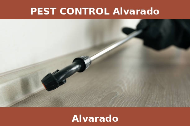 PEST CONTROL Alvarado
